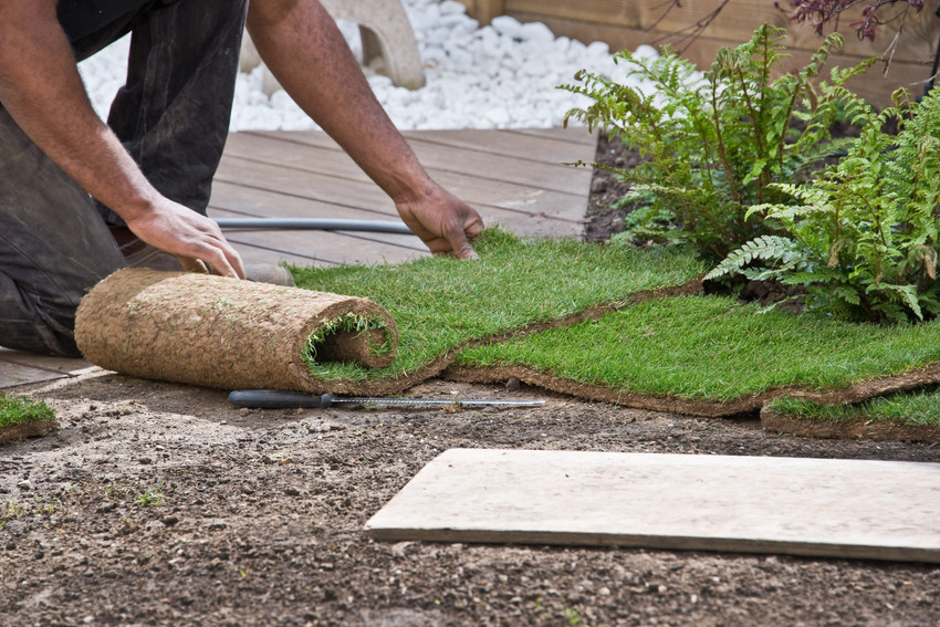 Installing rolls of grass in a garden