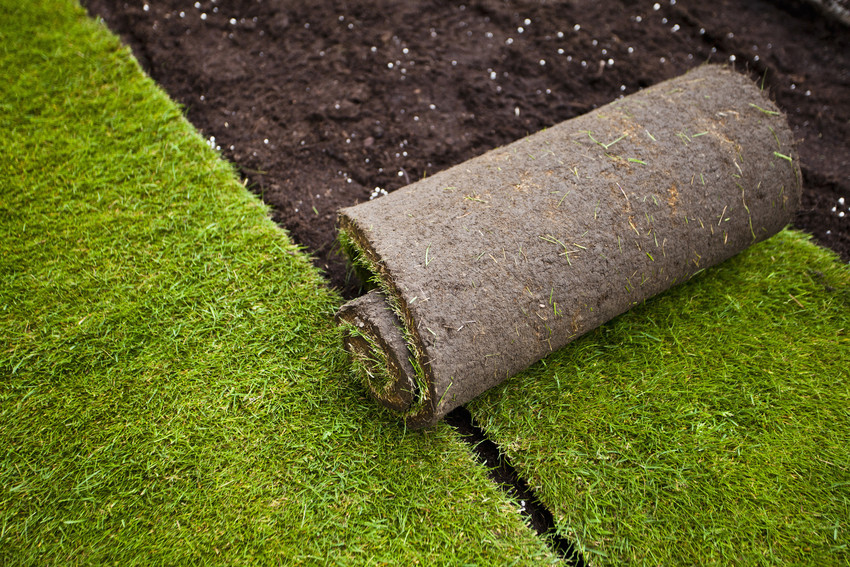 Turf Easy Lawn Ltd