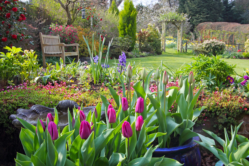 English country garden in spring with pots of tulips on the patio, flowers in the borders, flowering shrubs, a rose arch and a garden seat on the lawn, Haslemere, Surrey, England, UK.